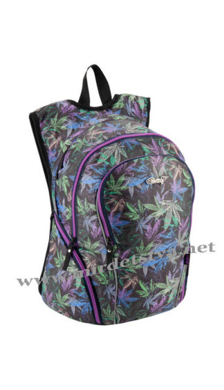 Рюкзак для школы Kite Beauty K18-953L