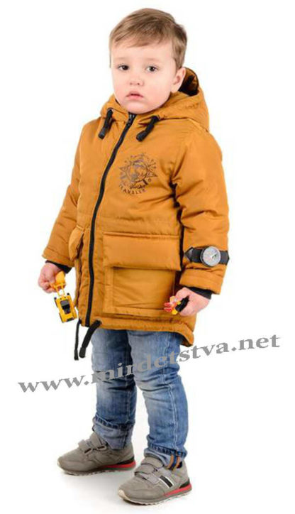 Демисезонная куртка с капюшоном для мальчиков и подростков Traveler  Компас