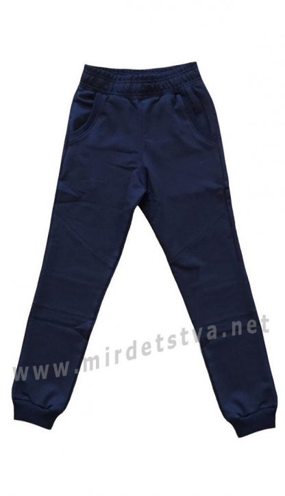Синие спортивные брюки для мальчика Iceman